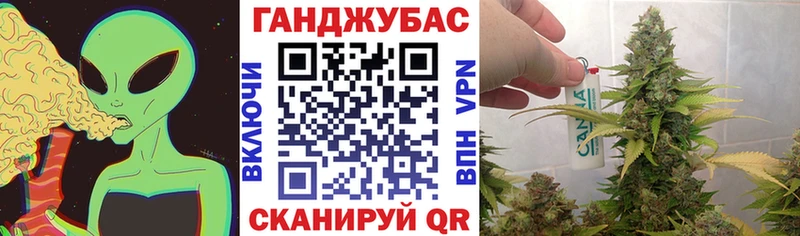 Шишки марихуана SATIVA & INDICA  где можно купить наркотик  Михайловск 